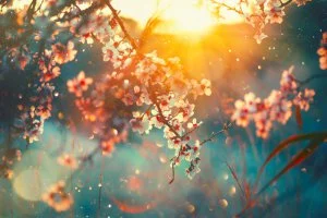 Weisheiten für jeden Tag © Subbotina Anna @ shutterstock