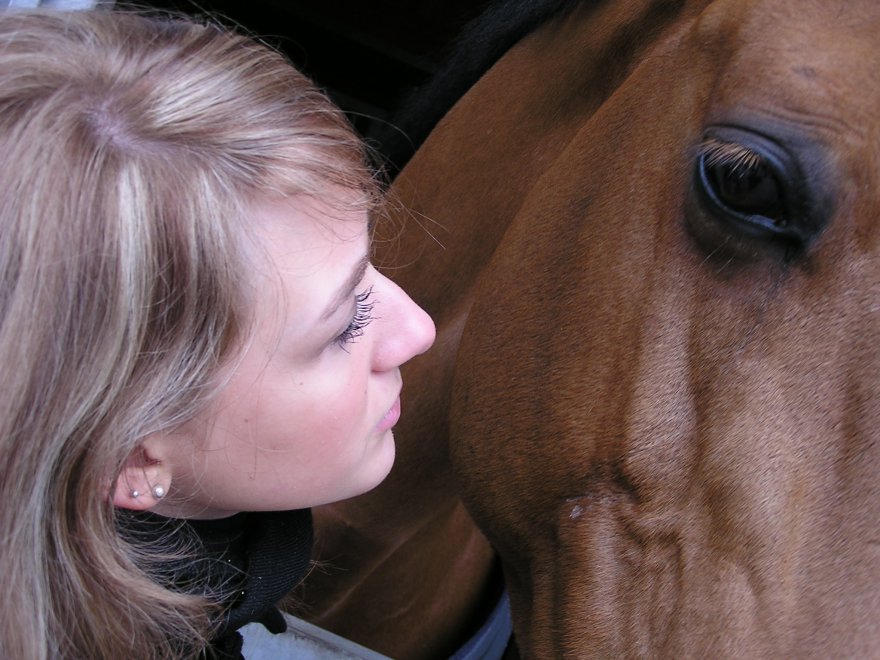Coaching mit Pferden,Pferde,pferdegestützte Coaching Foto: © jaeggimedia.jpeg @ AdobeStock