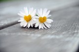  Foto: ©  Peter Heckmeier @ AdobeStock