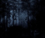  Foto: ©  Fantom666.jpg @ shutterstock