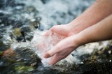 Foto: ©  Ramona Heim @ AdobeStock