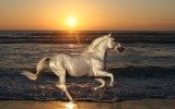  Foto: ©  Ideas_everything @ shutterstock