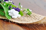  Foto: ©  Lumixera @ shutterstock