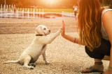  Foto: ©  manushot @ shutterstock