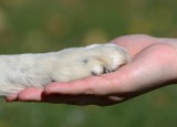  Foto: ©  kontessina @ AdobeStock