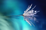  Foto: ©  LedyX @ shutterstock