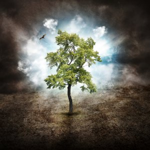 Baum des Lebens Foto: © Haywiremedia @ shutterstock