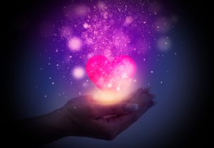 Bildzauber Foto: © Mia Stendal @ shutterstock