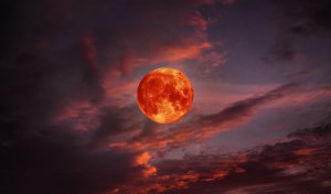 Blutmond Foto: © natara.jpeg @ AdobeStock