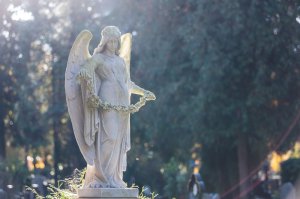 Engelszahl 777 Foto: © Georg Hummer.jpeg @ AdobeStock