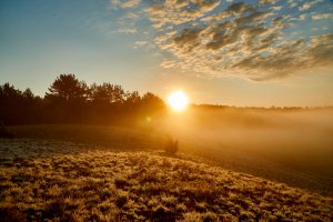 Fortuna Foto: © Videopoint @ shutterstock