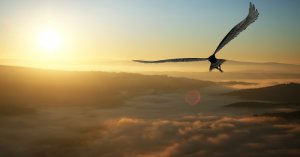 Griechische Mythologie Foto: © Juanjo Tugores @ shutterstock