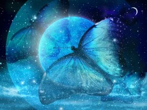 Mondrituale Foto: © suns07butterfly @ shutterstock