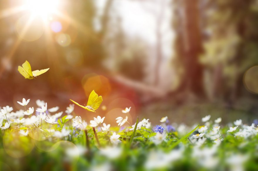 Anderswelt Foto: © Konstiantyn.jpeg @ AdobeStock
