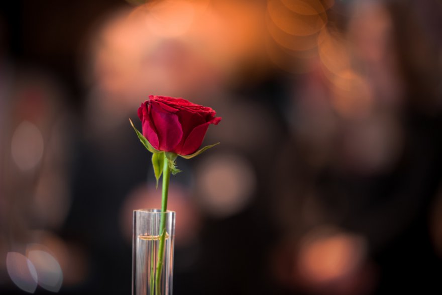 Bindungsmagie Foto: © Jennifer Sophie @ shutterstock