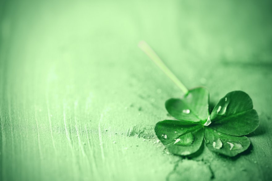 Glücksmagie Foto: © Africa Studio @ shutterstock