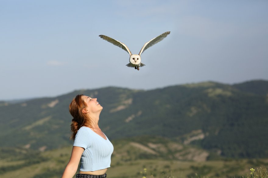 Krafttiermeditation Foto: © Antonio Guillem @ shutterstock