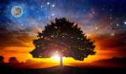 Magie - eine eigene Welt Foto: © rafo @ Fotolia