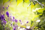 Jeder bekommt, was er verdient? Foto: © Floydine @ Fotolia