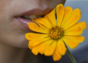Liebesorakel und Liebestarot Foto: © Andrey Yanovskiy @ Fotolia