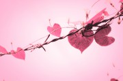 Die Liebe des Lebens - Loslassen, darüber hinwegkommen und Neustarten Foto: © kikk @ shutterstock