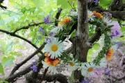 Sommersonnenwende 2022 - Rituale zum Sommeranfang Foto: © Juver @ shutterstock