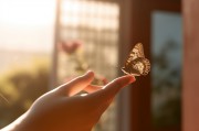 Manifestieren: Was bedeutet das und was hat es mit der 369-Methode auf sich? Foto: © Anna.jpeg @ AdobeStock